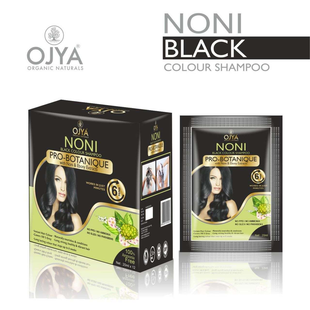 Priis BSY Noni Black Hair Magic Hair Dye Shampoo