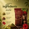 Organic Henna Powder for Hair: Why More People Are Choosing Ojya for Natural Hair Care